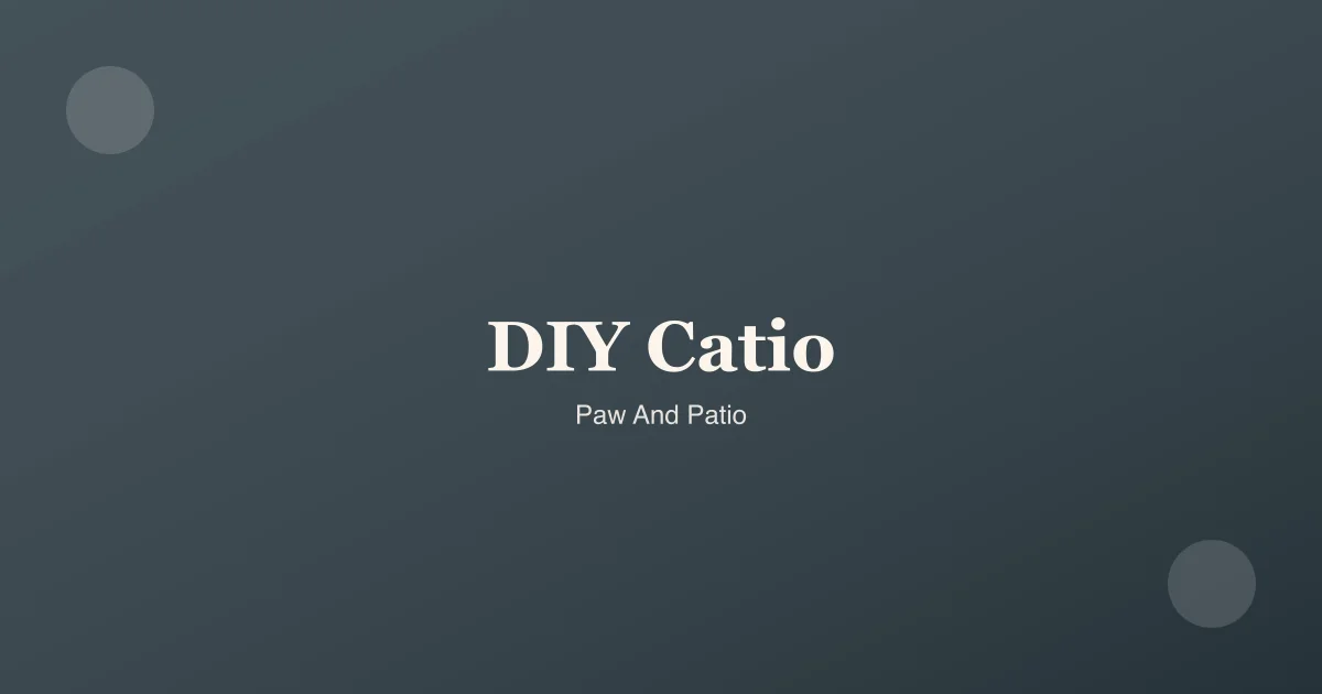 Cat enjoying a sunny DIY catio with shelves and plants