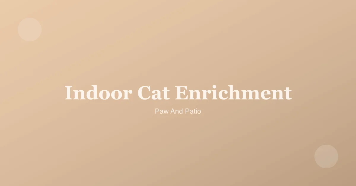 Cat relaxing in a well-set-up apartment with enrichment stations visible