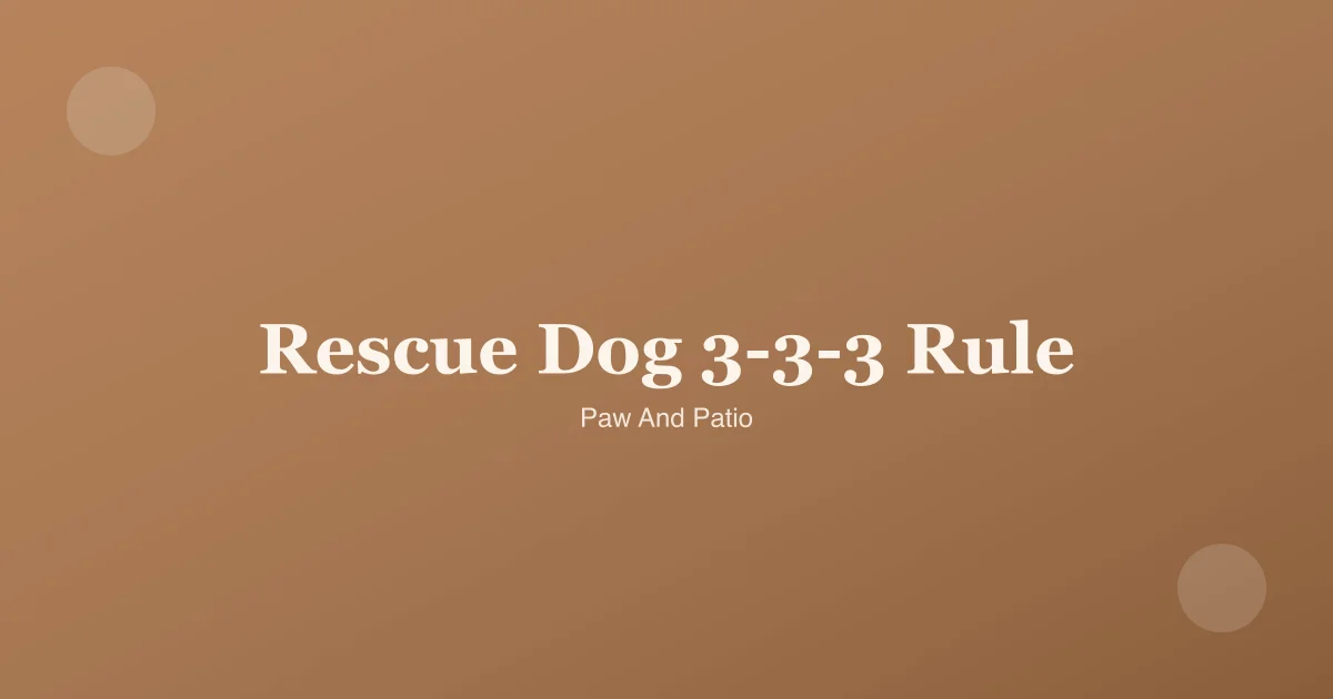 Rescue dog settling into new home during decompression period